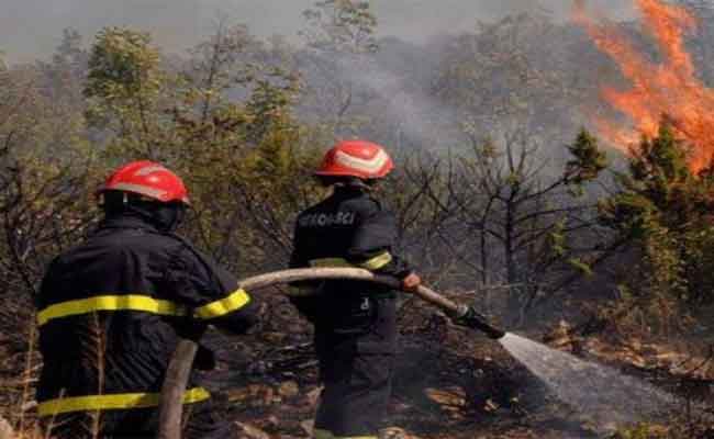 الحماية المدنية تجند 19 ألف عون لمكافحة حرائق الغابات خلال الصائفة