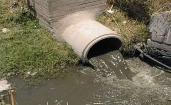 توقيف شخصين متلبسين بسقي أشجار البرتقال بالمياه القذرة بالبويرة