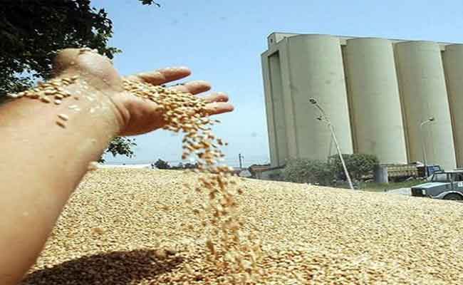 تورط 5 إطارات من تعاونية للحبوب والبقول الجافة في قضية فساد بميلة