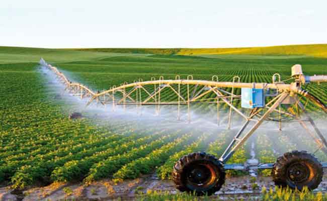 وزير الفلاحة يؤكد رهان الدولة على الفلاحة بمناطق الجنوب لتحقيق الأمن الغذائي