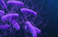 اكتشاف نوع من المضادات الحيوية يقضي على البكتيريا المقاومة للأدوية...