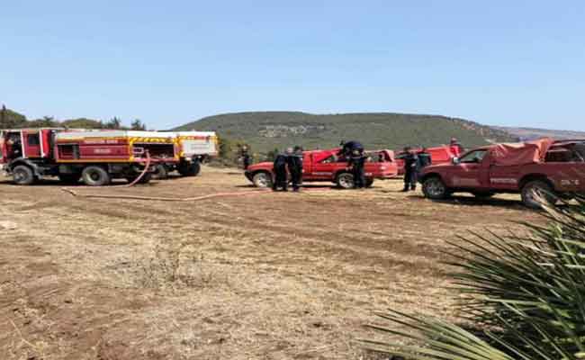 مساهمة طائرتين في إخماد حرائق غابة “سبكتور” بسيدي بلعباس