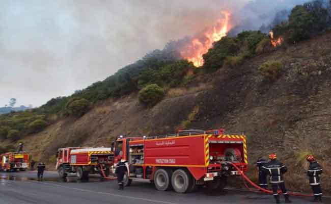 حريق يتلف أزيد من 500 شجرة زيتون بالبويرة