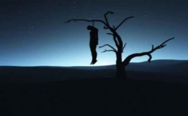 التحقيق في ملابسات العثور على جثة شاب معلقة بشجرة بالبويرة