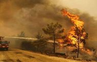 وزارة الفلاحة تعلن عن اجراءات استعجالية وقائية من حرائق الغابات