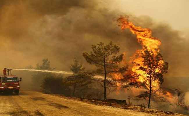 وزارة الفلاحة تعلن عن اجراءات استعجالية وقائية من حرائق الغابات