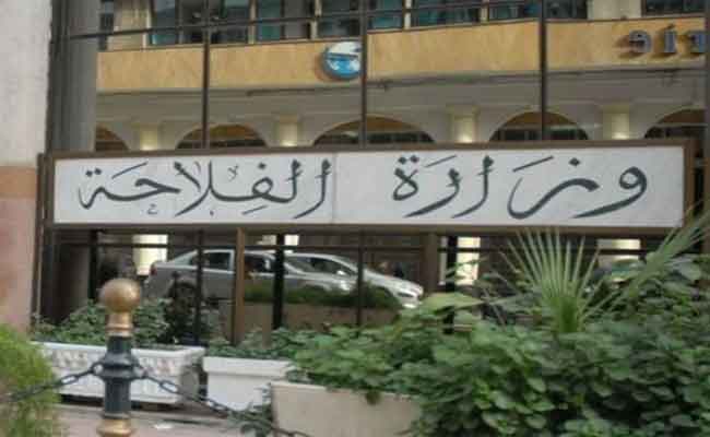 وزارة الفلاحة تنفي