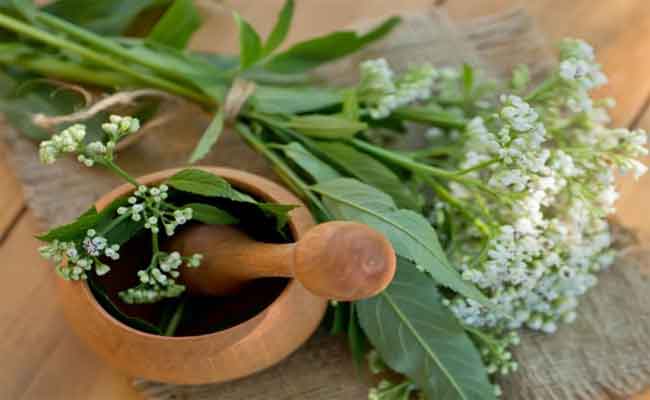 علاج الألم العضلي الليفي بالأعشاب…جرّبيه لراحة مثالية