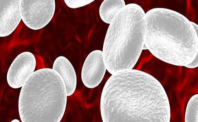 أعراض ارتفاع كريات الدم البيضاء…والعلاج ضروري