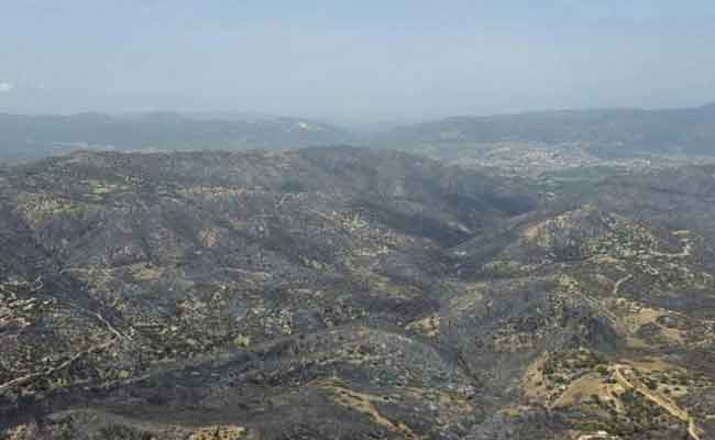 إخماد جميع حرائق الغابات التي اندلعت في عدة ولايات