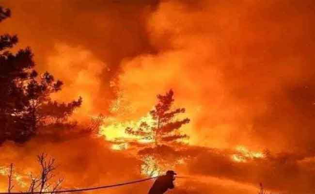 استشهاد عشرة عسكريين في حرائق بجاية