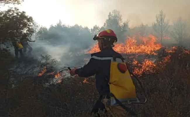 نشوب حريق في غابة الخلوة بالمدية