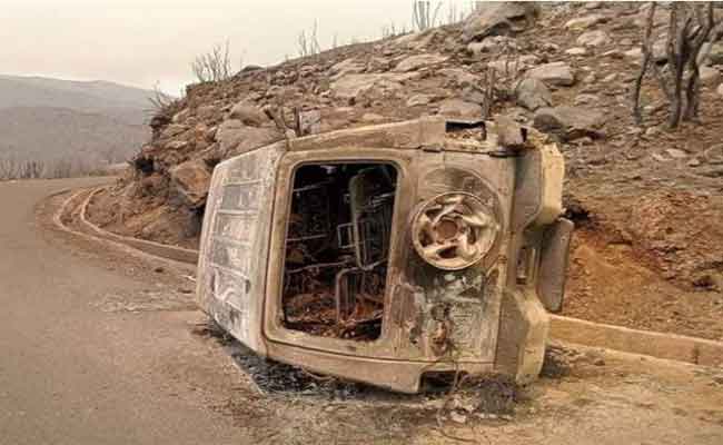 حصيلة ضحايا حرائق الغابات ترتفع إلى 34 حالة وفاة