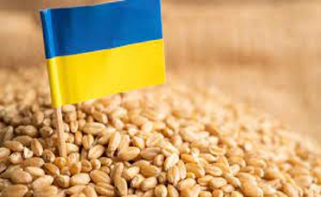 أوكرانيا تبدأ موسم تصدير الحبوب الجديد بكميات ضئيلة