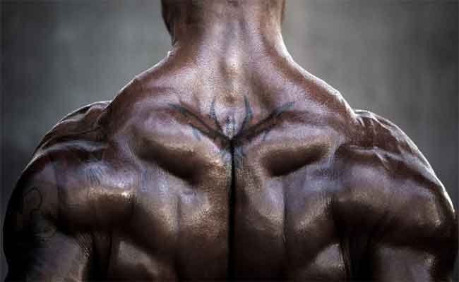 كيف أقوي عضلاتي في المنزل من دون ارتياد الأندية الرياضية؟