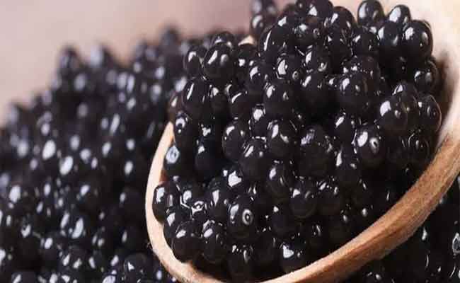 فوائد الكافيار لصحة العروس مذهلة…فهو يحميك من الشيخوخة المبكرة