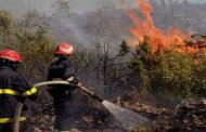 حرائق الغابات تندلع في 5 ولايات