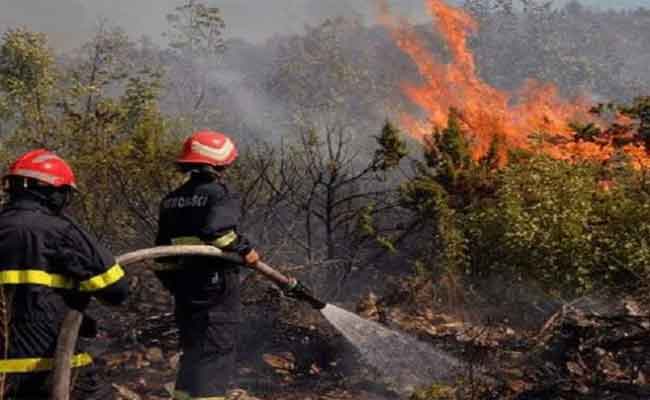 حرائق الغابات تندلع في 5 ولايات