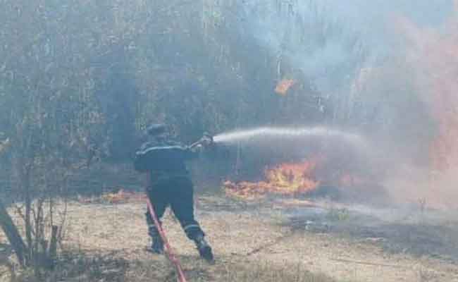 اندلاع الحرائق في غابات ثلاث ولايات