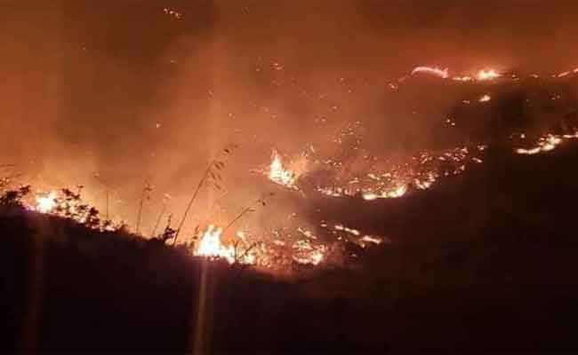 استمرار إخماد حرائق الغابات وعدم تسجيل أي خسائر بشرية