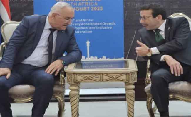 مشاركة فايد في اجتماع قمة مجموعة بريكس بجوهانسبورغ