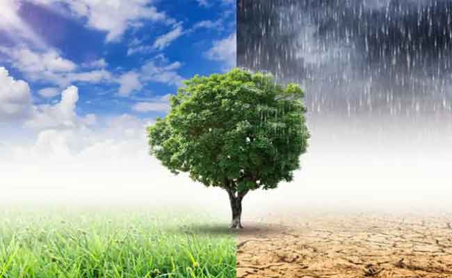 حصول الجزائر على تمويل يقدر بـ 3 مليون دولار لإنجاز المخطط الوطني للتكيف مع التغيرات المناخية