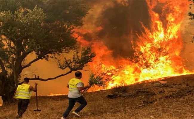 وزير الداخلية يكشف عن الشروع “فورا” في تعويض متضرري الحرائق 