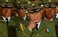 سكوب تقارير استخباراتية دولية جنرالات الجيش الجزائري يقودون البلاد للهاوية