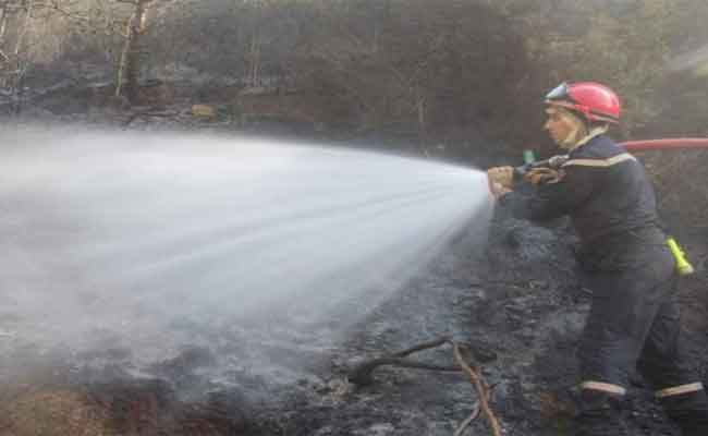 تواصل عملية إخماد حرائق الغابات