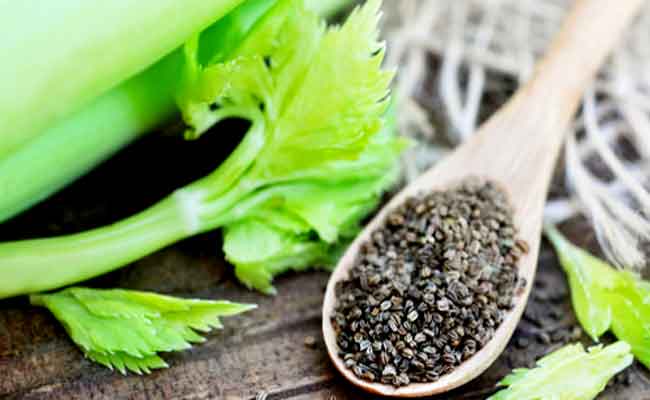 بذور الكرفس للتنحيف رائعة برأي اختصاصية…خصوصاً للعروس