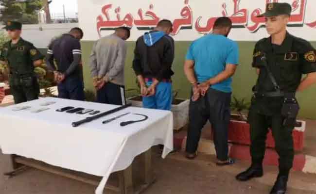 الإطاحة بشبكة إجرامية تحترف سرقة المواشي بوهران