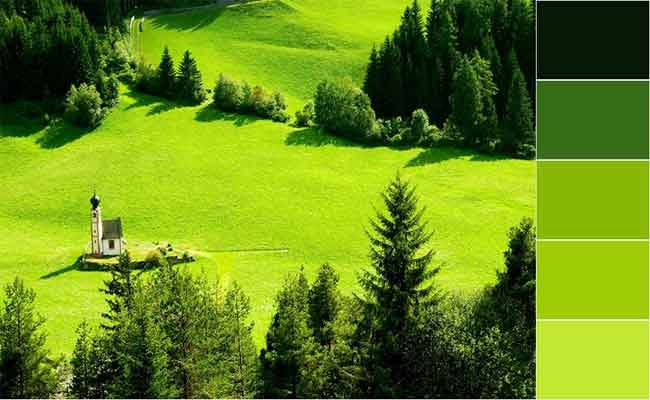 تأثير اللون الأخضر على الأشخاص في علم النفس…رائع دون شك