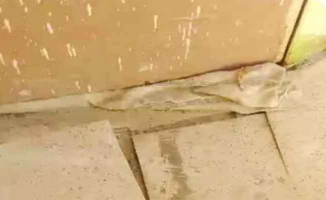 الدخول المدرسي بمدرسة مبارك الميلي بمغنية عنوانه الفوضى والتشقق