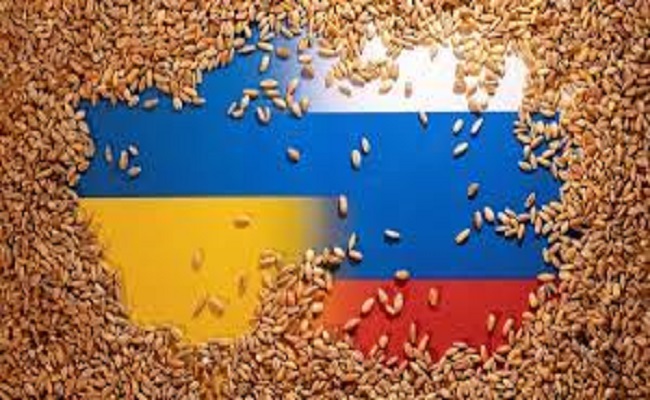 معارضة أوكرانية لأي تمديد قيود أوروبية على صادرات كييف الزراعية