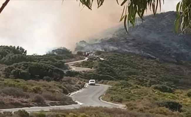 نشوب حريق مهول بغابات سيدي عيسي في عنابة