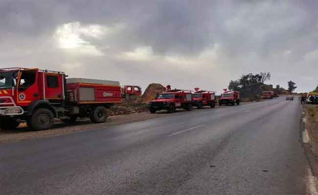 الحماية المدنية تؤكد إخماد جميع حرائق الغابات