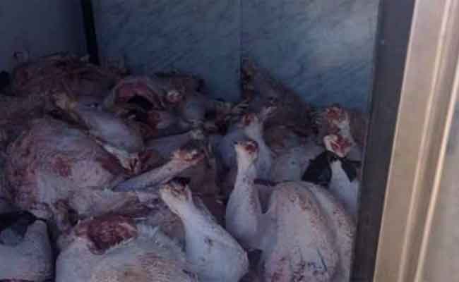 إتلاف 335 كلغ من اللحوم البيضاء غير صالحة للاستهلاك بالمدية