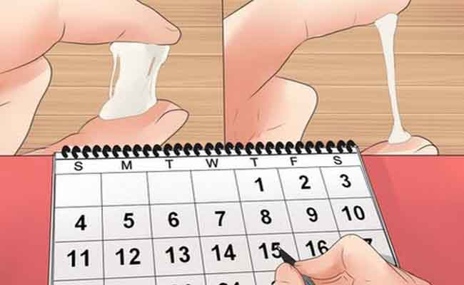 متى تبدأ فترة التبويض؟…معلومات انتبهي إليها