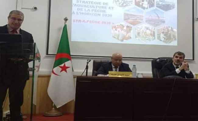 إشراف بداني على عرض مفصل حول استراتيجية الصيد البحري وتربية المائيات الجديدة