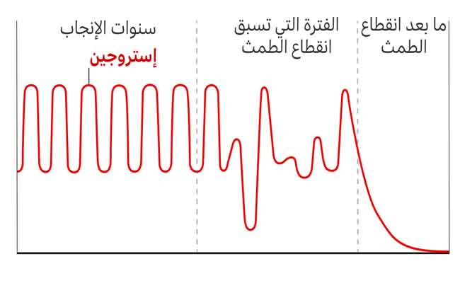 انقطاع الطمث: 6 عناصر غذائية ينصح بها اختصاصي لتجنّب الاضطرابات