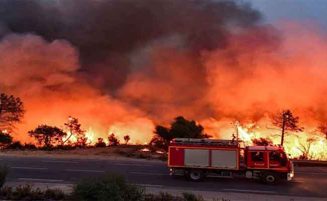 إتلاف أزيد من 41 ألف هكتار غابوي خلال العام الجاري