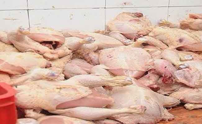 إتلاف أزيد من 24 قنطارا من اللحوم الفاسدة بالوادي