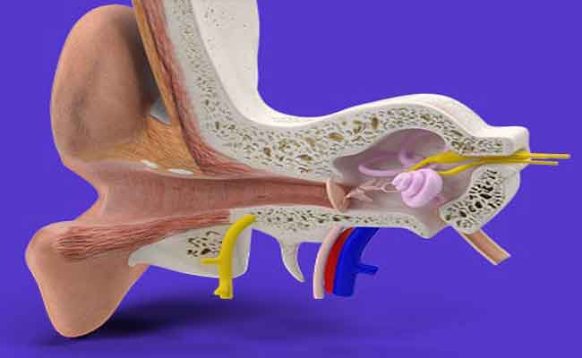 هل يوجد علاج لضعف السمع غير السماعات؟