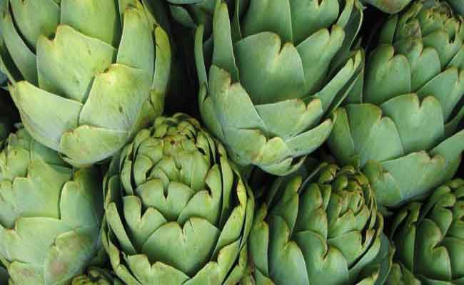 فوائد ومخاطر تناول الخرشوف أثناء الحمل…