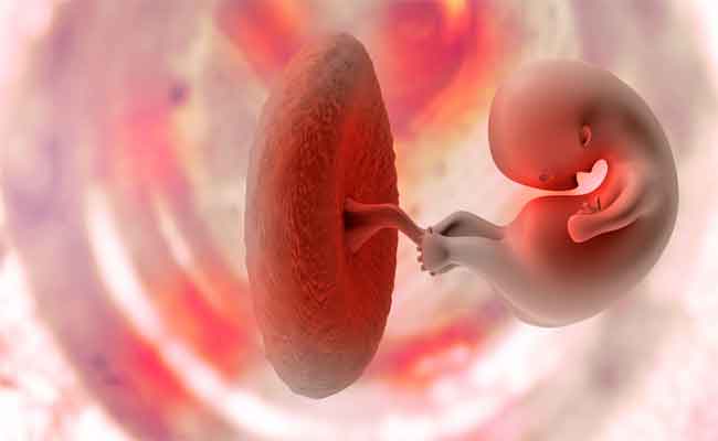 أسباب وأعراض المشيمة المحتبسة…