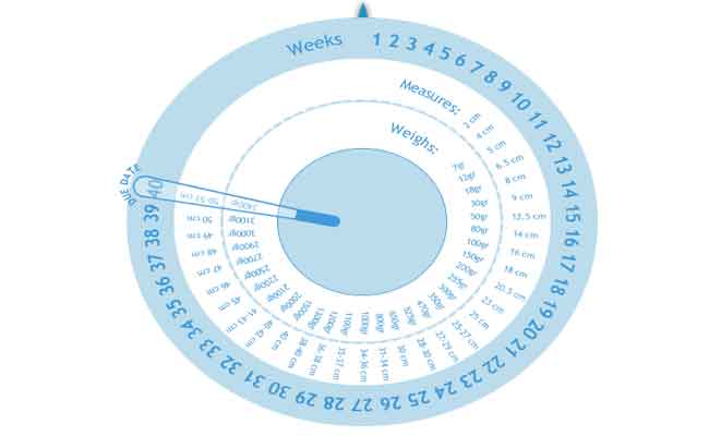 كيف يتم حساب الحمل بشكل صحيح؟