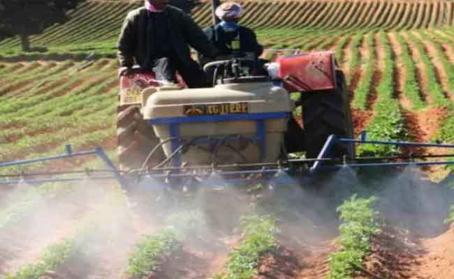 منح 2.7 مليون قنطار بذور للفلاحين بالمجان 