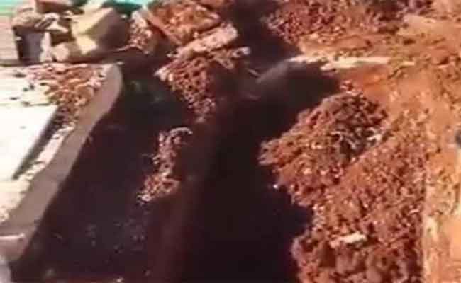 التحقيق في سرقة جثة جنين لم يكتمل من مقبرة عين البيضاء بوهران