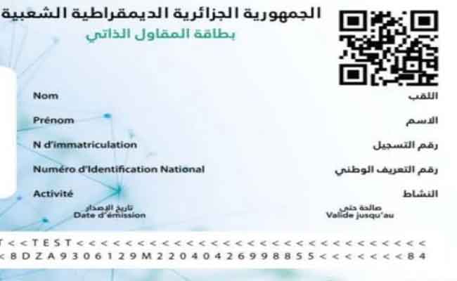 صدور القرار الوزاري للتنظيم الداخلي للوكالة الوطنية للمقاول الذاتي بالجريدة الرسمية
