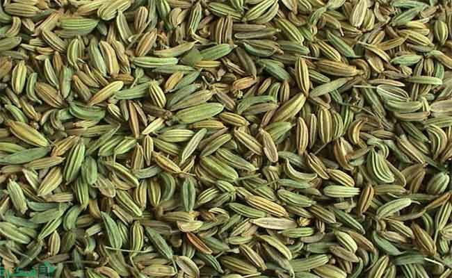 فوائد الشمر المغلي لزيادة الوزن دون آثار سلبية وفق اختصاصية…